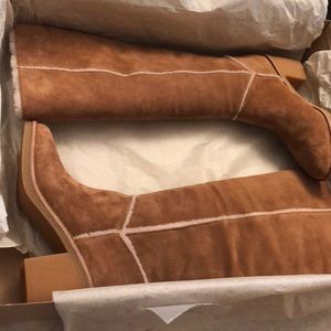 Ugg Kasen Tall Chestnut Boot